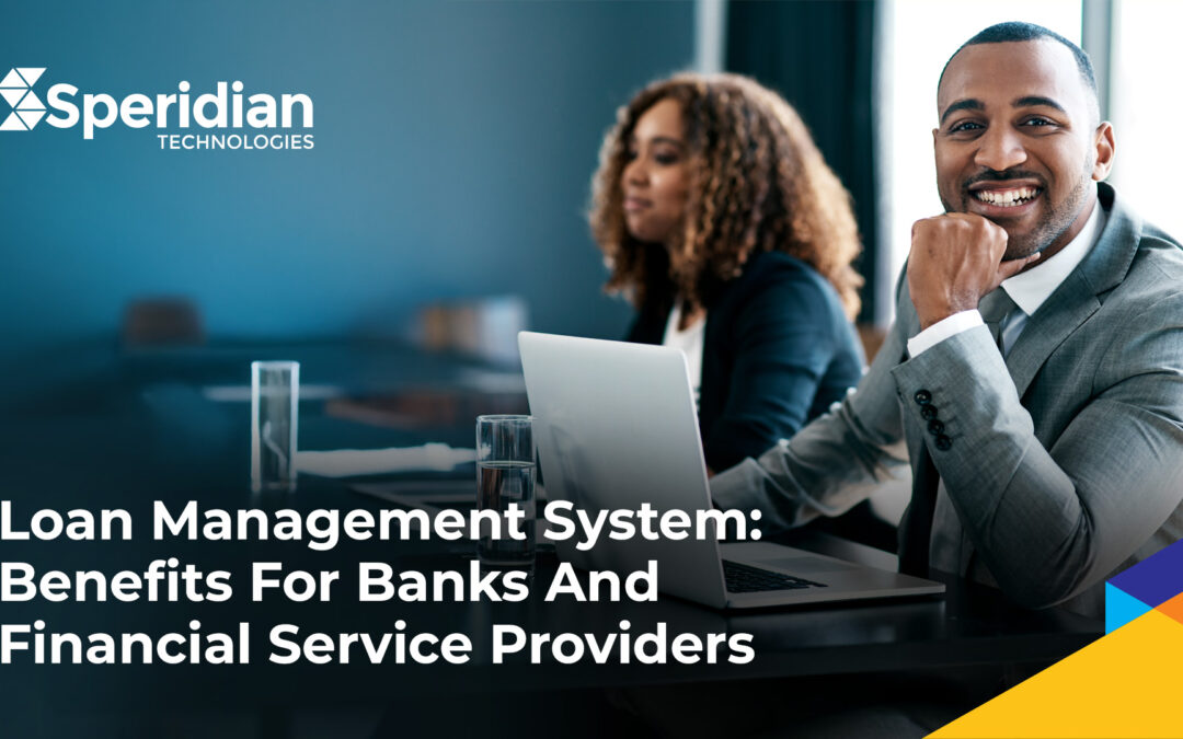 loan management system