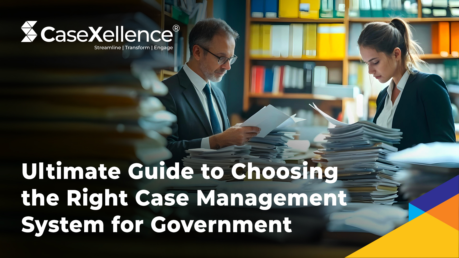 case management system for government