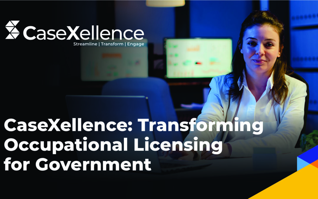 occupational licensing for government